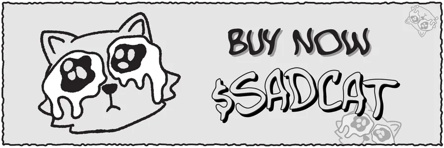 SadCat X header, 1500 by 500