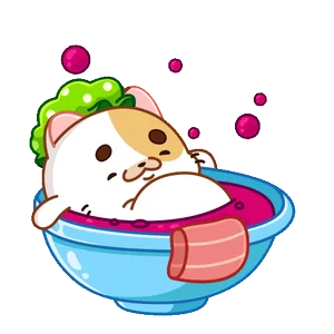 Dazed Cat animated sticker, sitting in a soup bowl with a lettuce leaf on its head