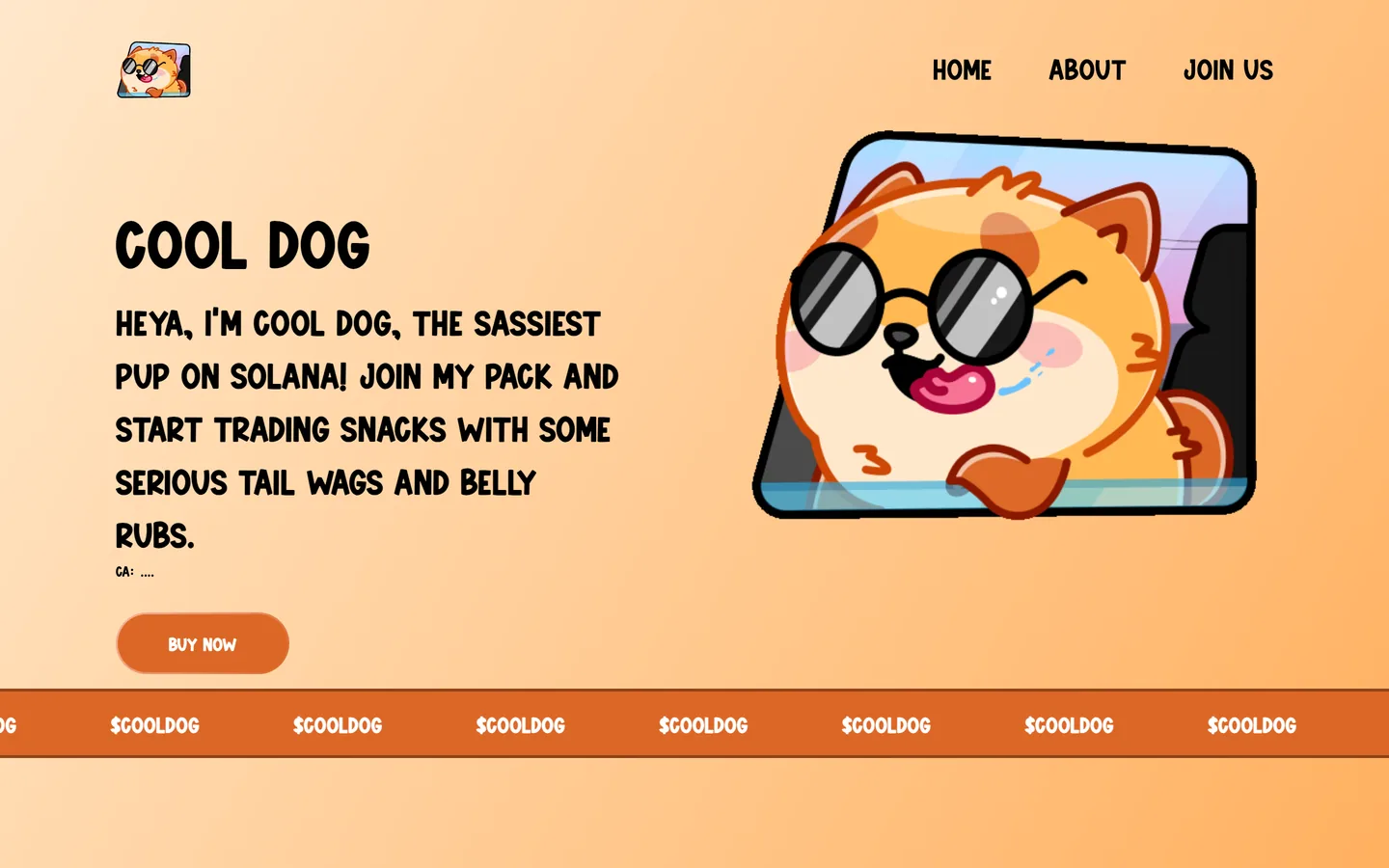 $COOLDOG website as delivered, an orange hero, headline "COOL DOG"