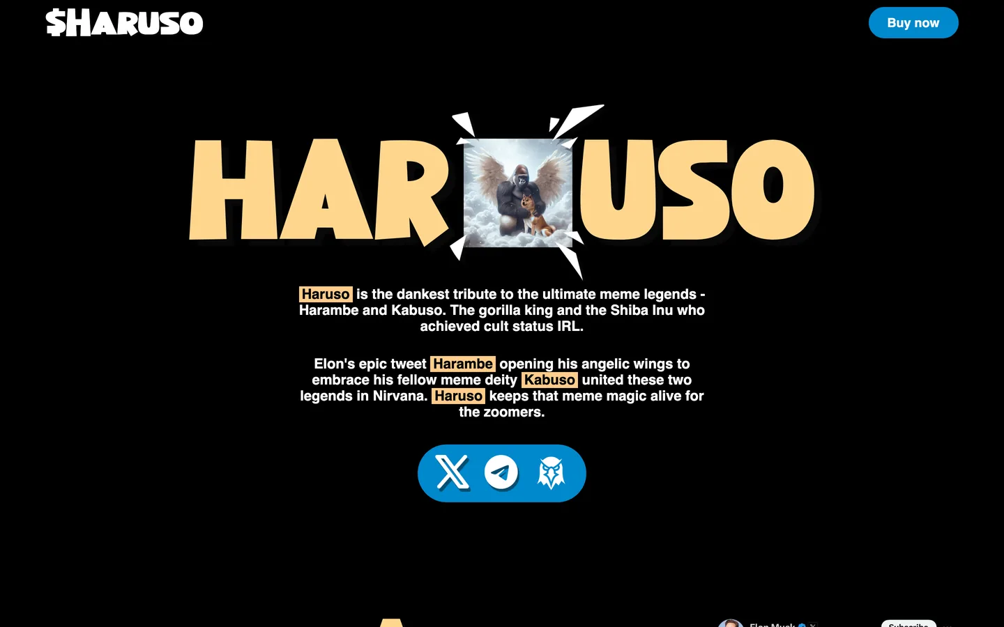 Haruso website as delivered, a black hero, headline "HAR USO"