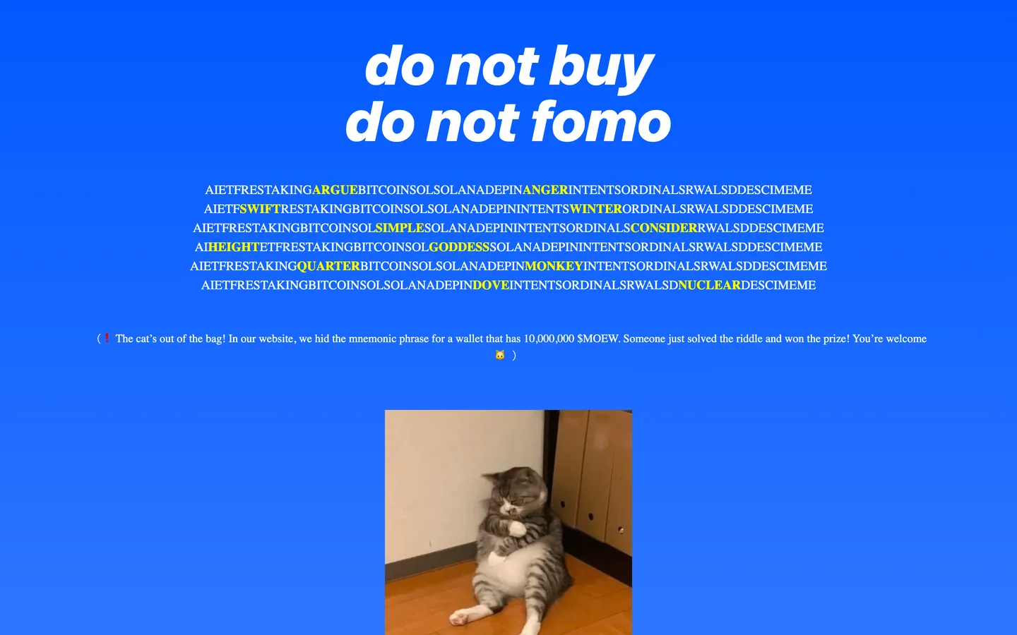 $MOEW website as delivered, a blue hero, headline "do not buy do not fomo"