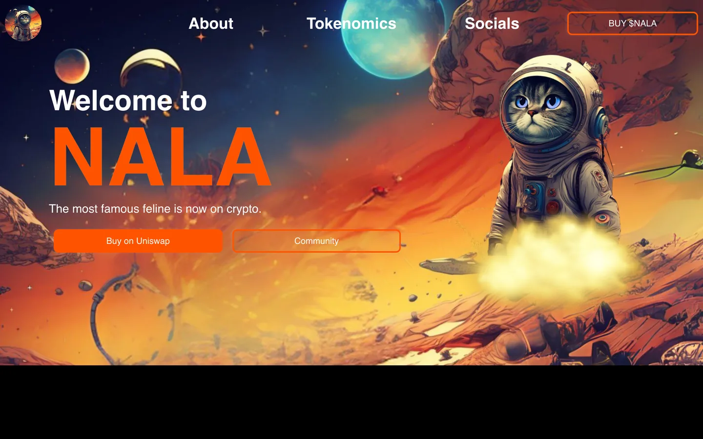 NALACAT website as delivered, a dark blue hero, 9 sections
