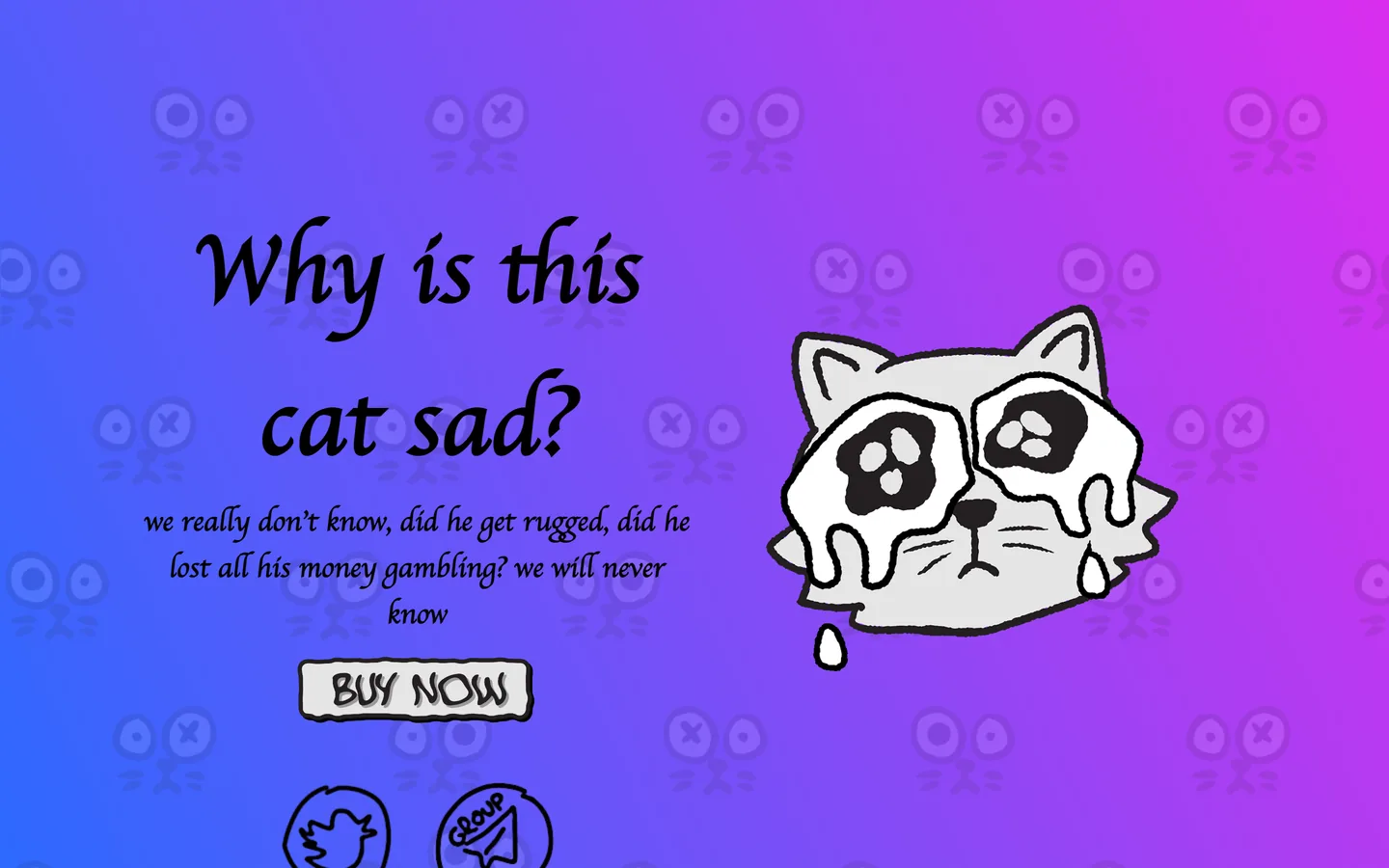 sadcat website as delivered, a blue hero, headline "Why is this cat sad?"